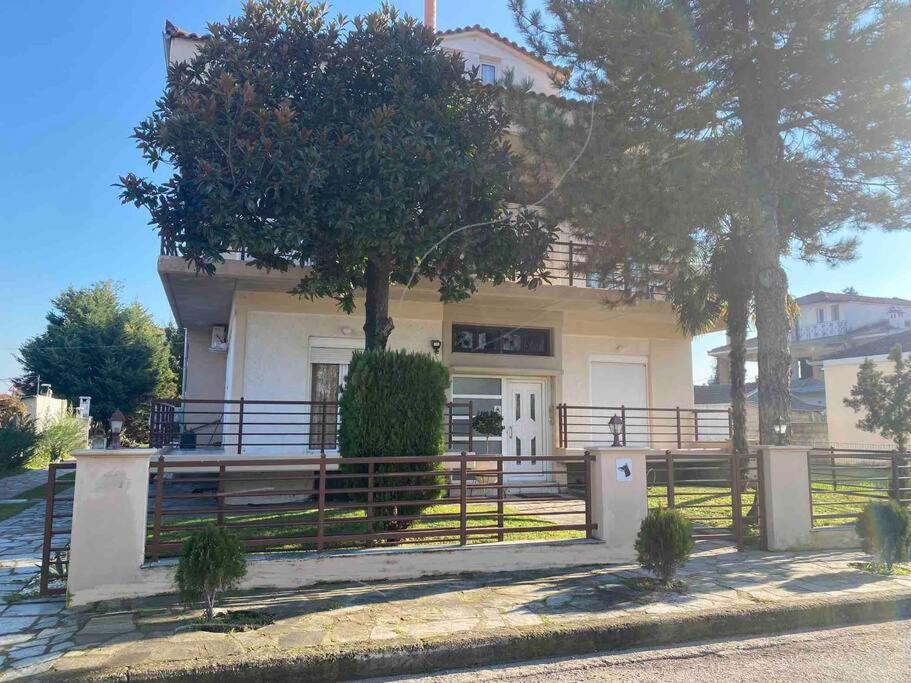 Family'S Home Trikala ภายนอก รูปภาพ